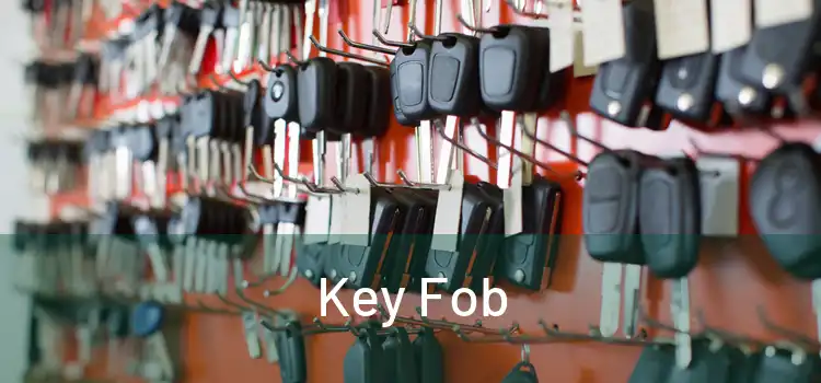  Key Fob 